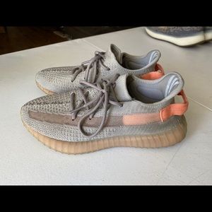 Yeezy boost 350v2 Trueform (rare)